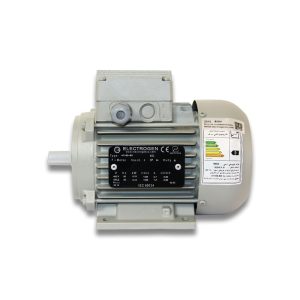 موتور داکتی 187 وات الکتروژن Electrogen تایپ 79187