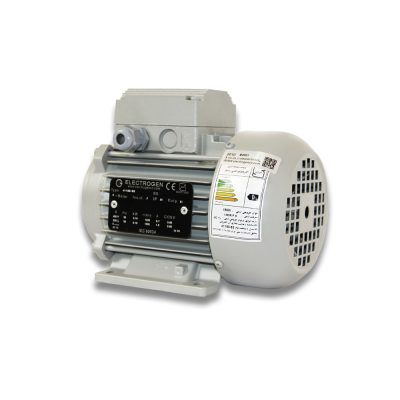 موتور داکتی 187 وات الکتروژن Electrogen تایپ 79187