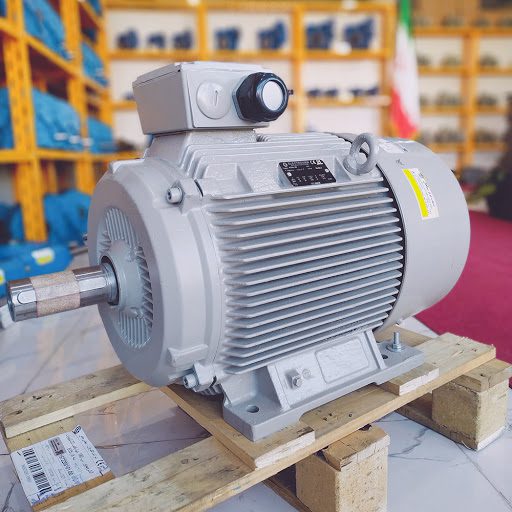 الکتروموتور-الکتروژن