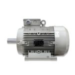 الکتروموتور سه فاز 20 اسب 15 کیلووات 3000 دور الکتروژن