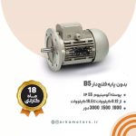 Electric motor without flanged base B5
