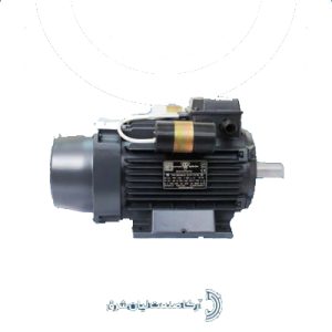 الکتروموتورهای تکفاز دو خازن CRS موتوژن
